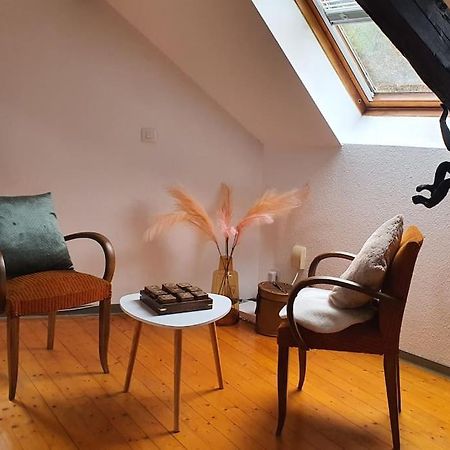 شقة Loft Gaia Brunstatt-Didenheim المظهر الخارجي الصورة