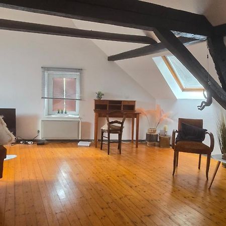 شقة Loft Gaia Brunstatt-Didenheim المظهر الخارجي الصورة
