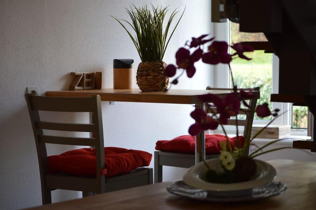 شقة Loft Gaia Brunstatt-Didenheim المظهر الخارجي الصورة