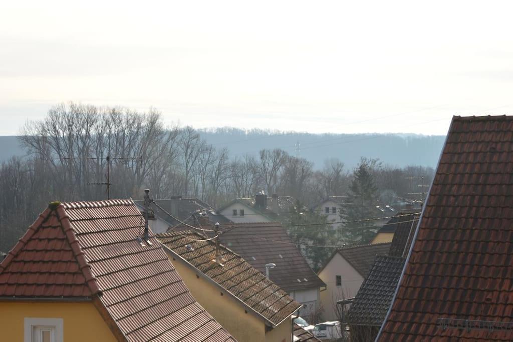 شقة Loft Gaia Brunstatt-Didenheim المظهر الخارجي الصورة