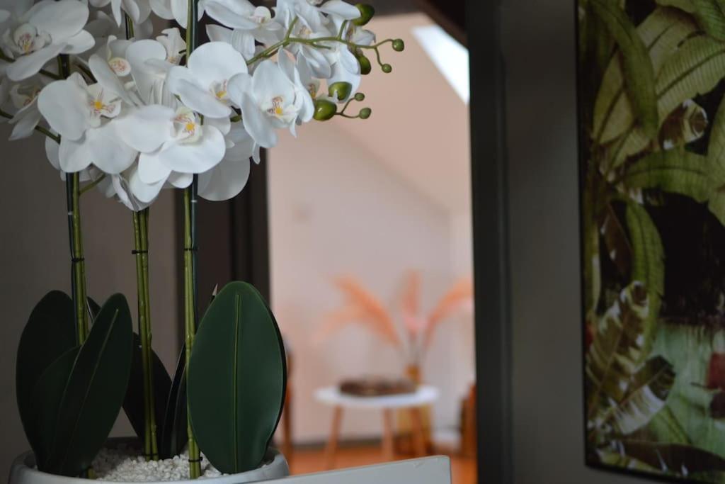 شقة Loft Gaia Brunstatt-Didenheim المظهر الخارجي الصورة
