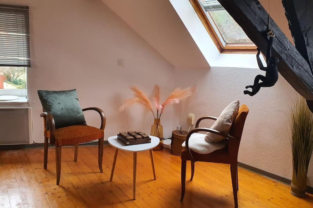 شقة Loft Gaia Brunstatt-Didenheim المظهر الخارجي الصورة